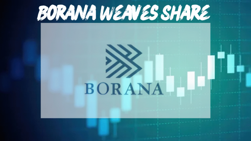 Borana Weaves Share Price