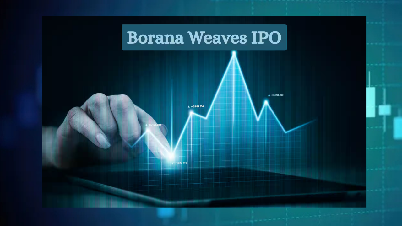Borana Weaves Share Price