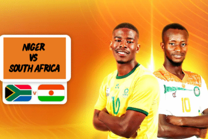 Niger vs South Africa