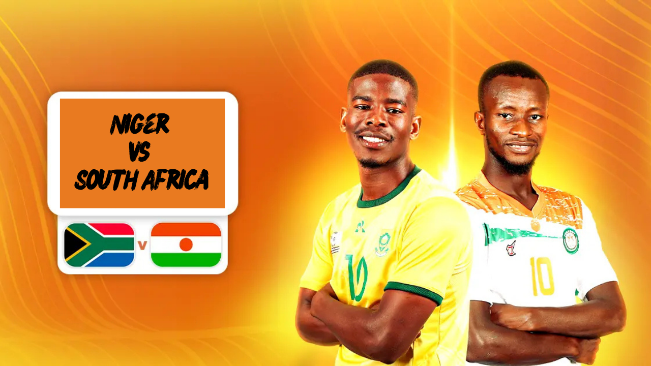 Niger vs South Africa